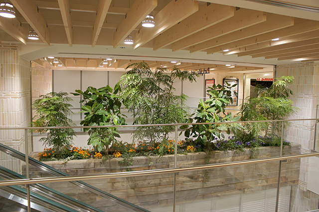 ショッピングセンターエスカレーター横通し柱に花壇を造作したグリーンコーディネートです。観葉植物やちょっとしたお花で彩れます。