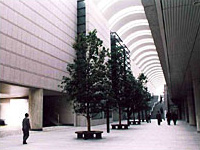 東京オペラシティ　室内空間の緑化管理　高木植え込み