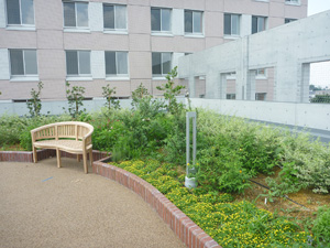 公共から民間施設の緑化、植物のある環境