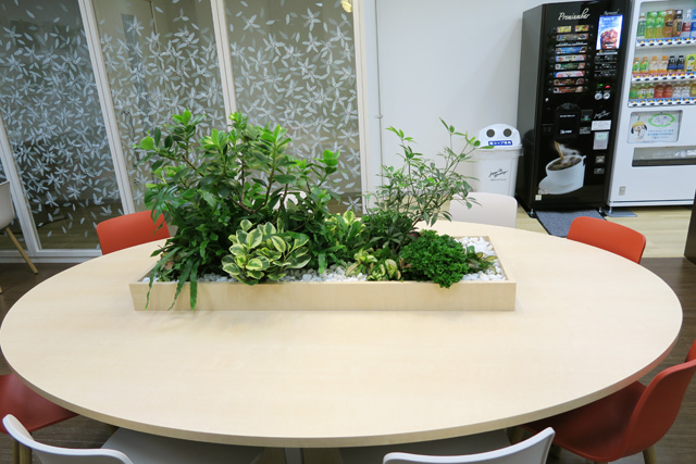 休憩スペース　テーブル中央に観葉植物の寄せ植え